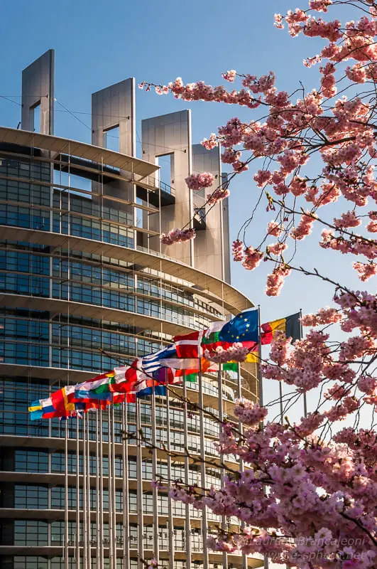 Drapeaux devant le Parlement européen à Strasbourg